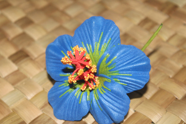 Samoan Hibiscus Sei's