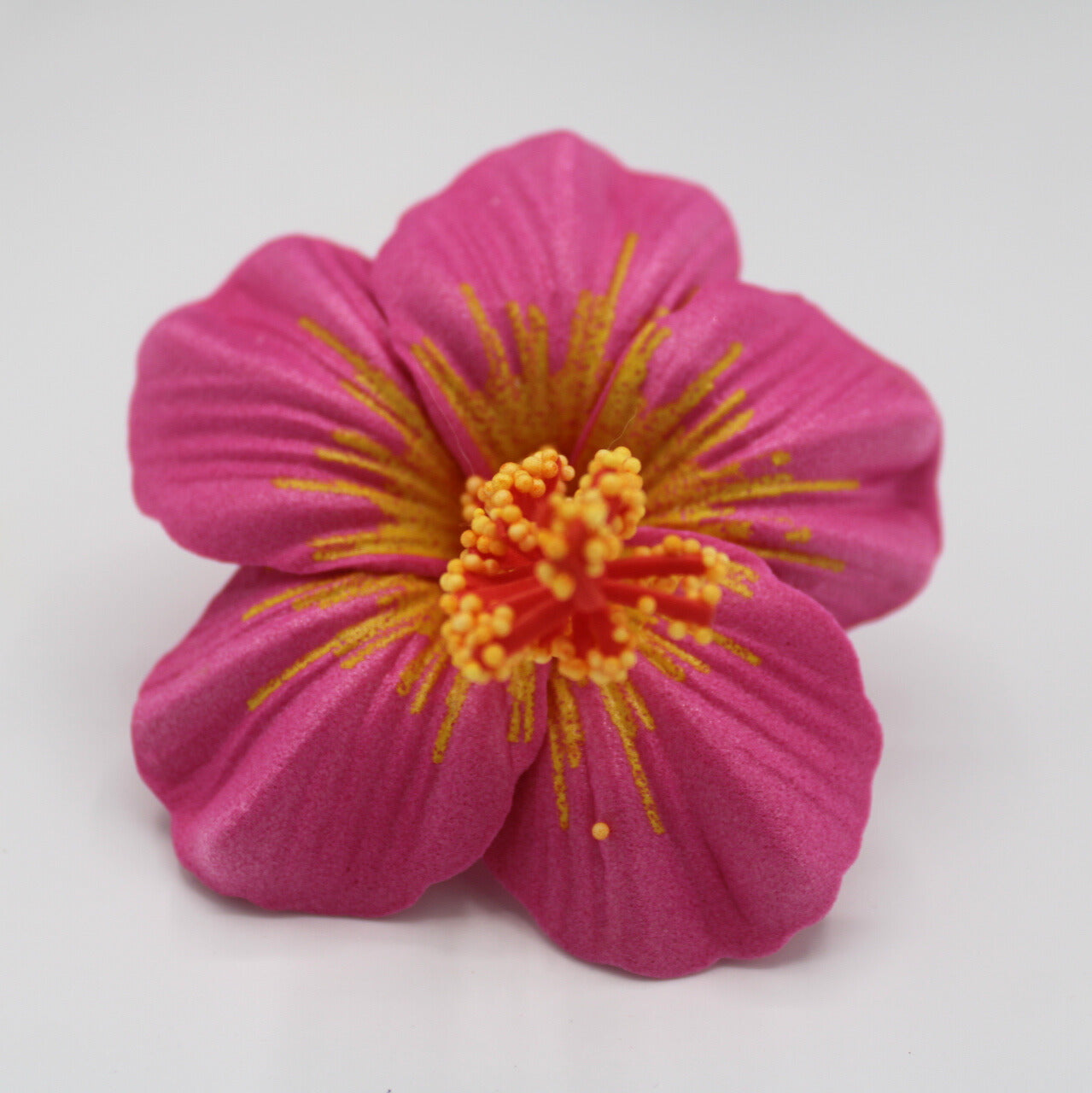 Samoan Hibiscus Sei's