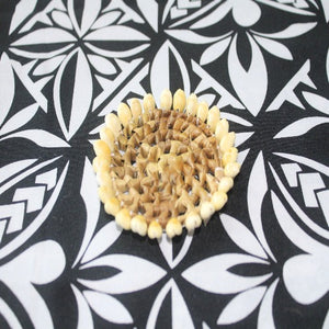 Cowrie Shell and Raffia Coaster / Woven Shell Mat