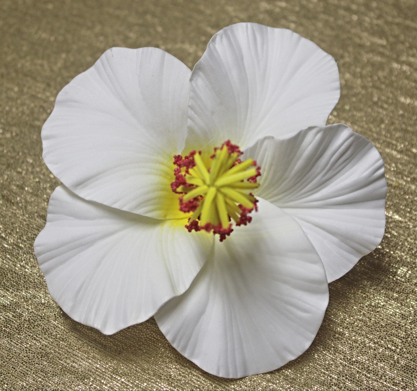 Samoan Hibiscus Sei's - Large Size