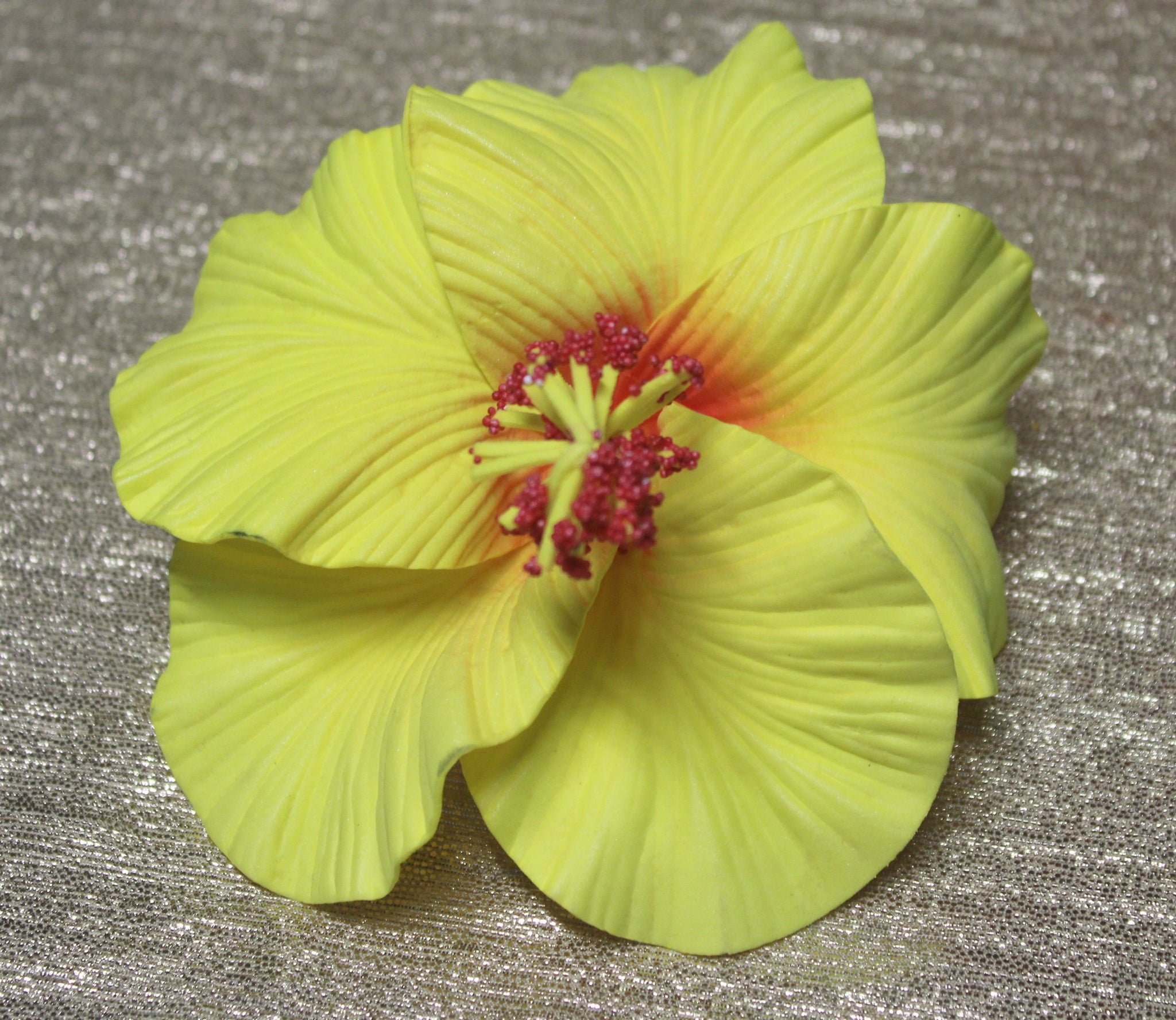 Samoan Hibiscus Sei's - Large Size