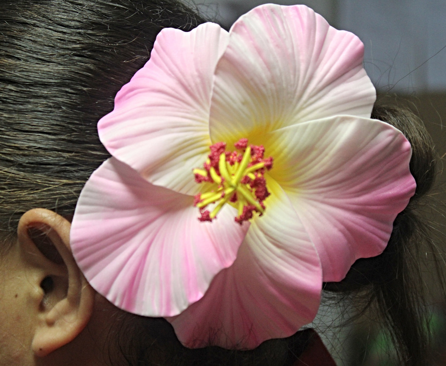 Samoan Hibiscus Sei's - Large Size