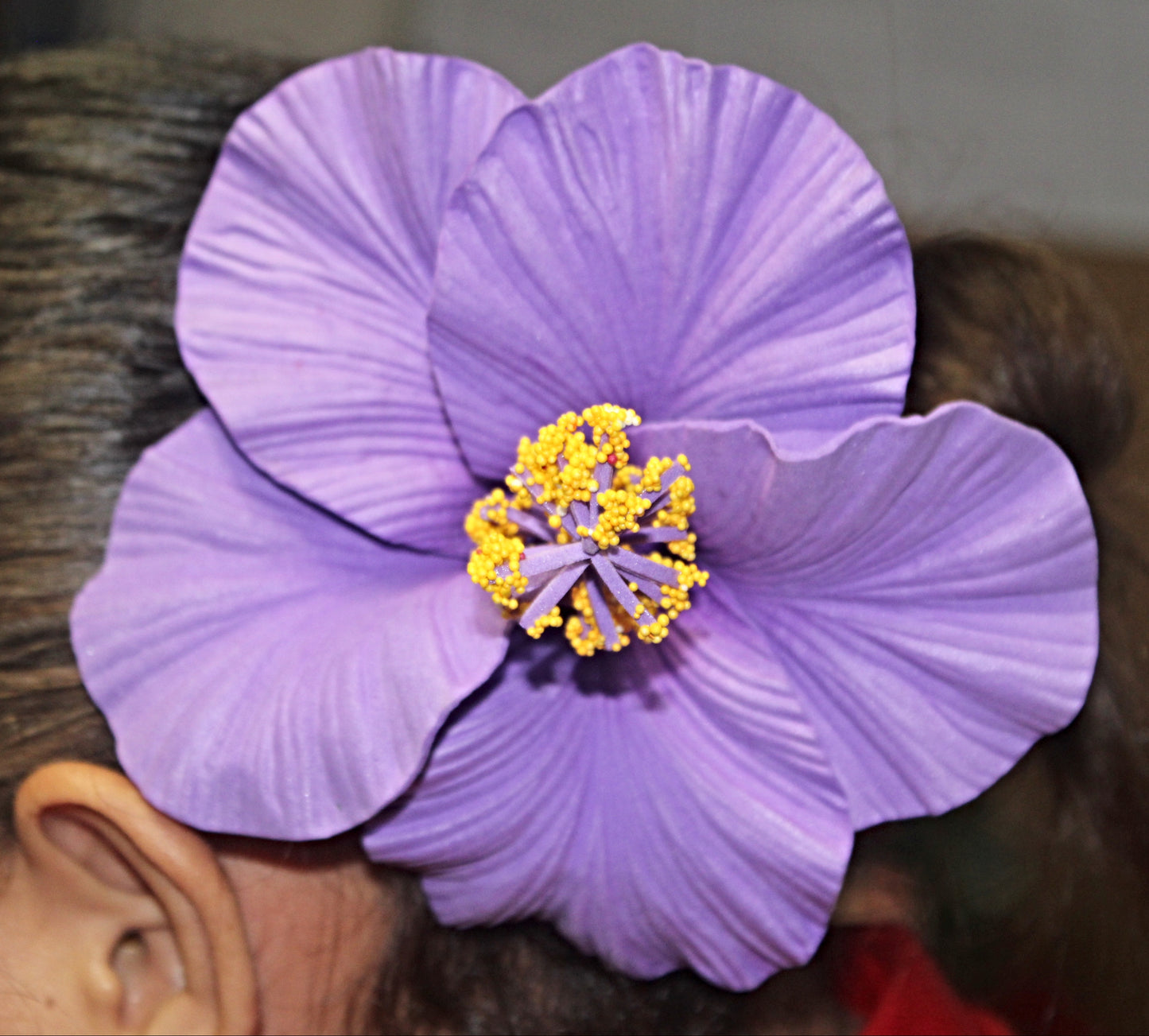 Samoan Hibiscus Sei's - Large Size