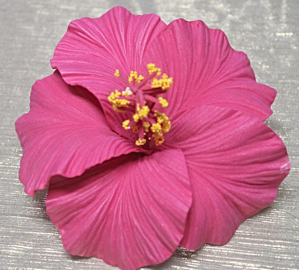 Samoan Hibiscus Sei's - Large Size