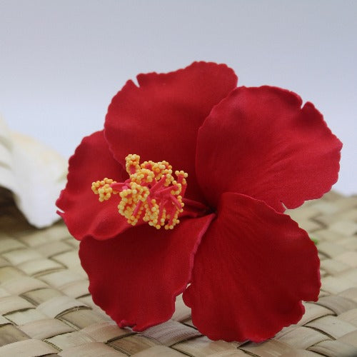 Hibiscus Flower Sei