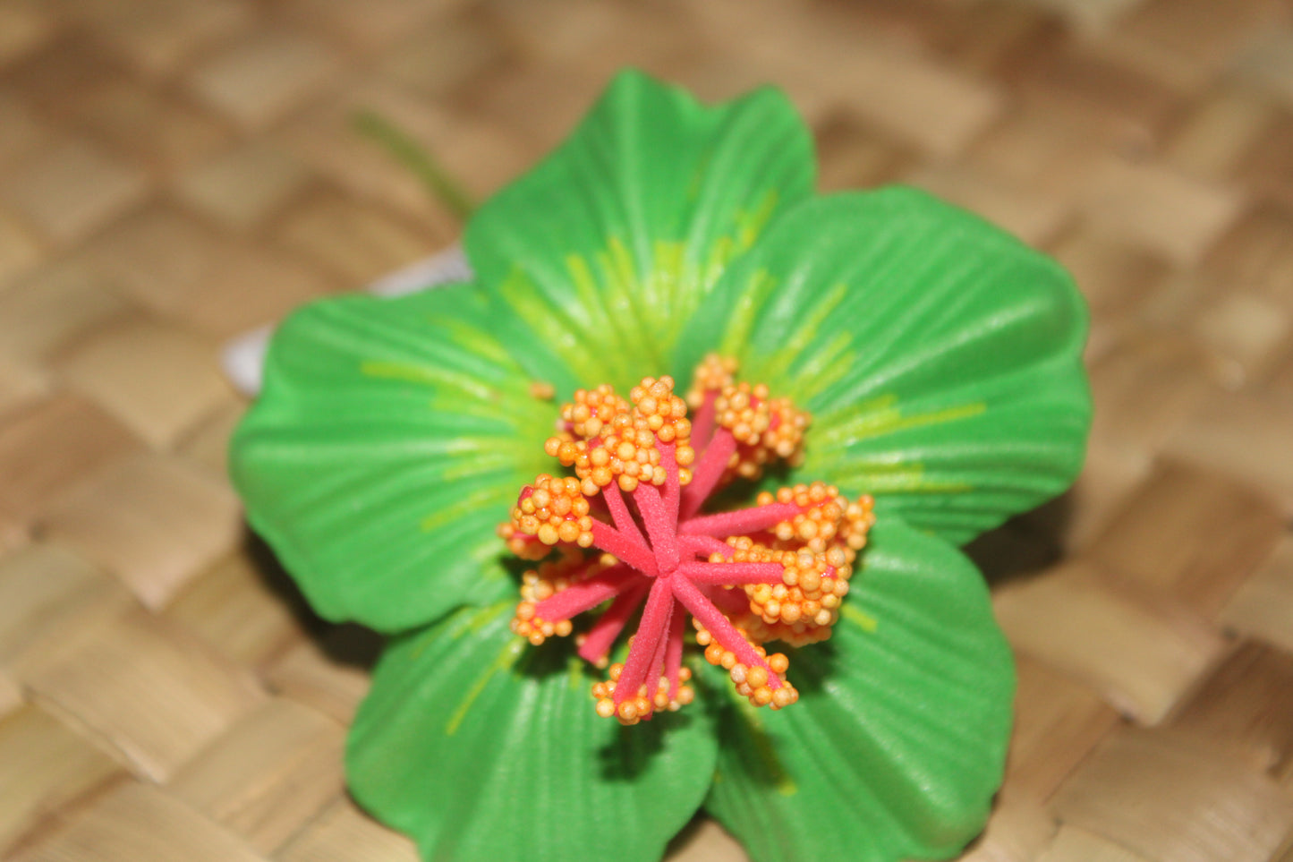 Samoan Hibiscus Sei's