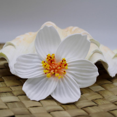 Tropical Hair Flower