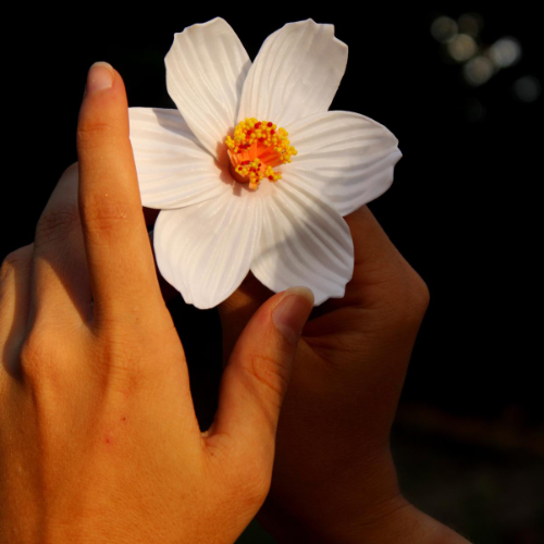 Tropical Hair Flower